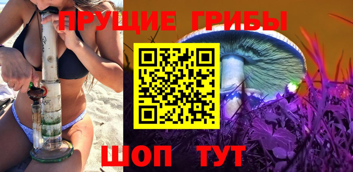 Псилоцибиновые грибы Cubensis Ишимбай